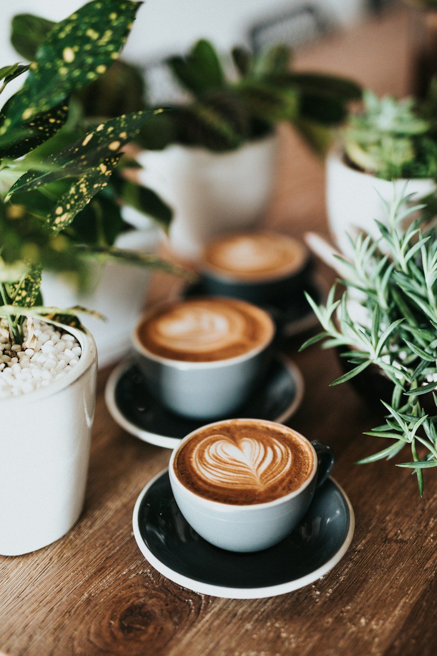 Latte de la casa
